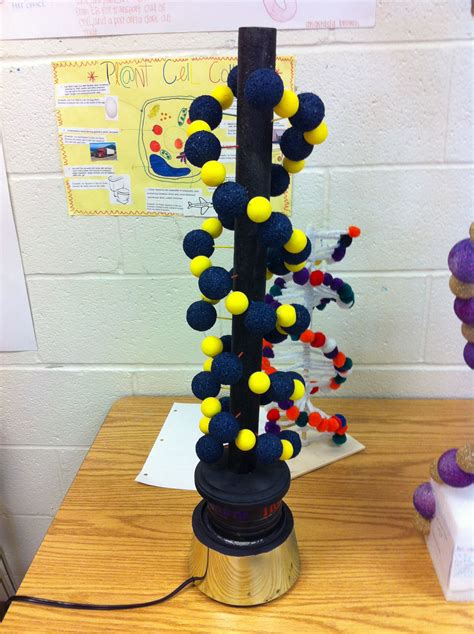 This Years Dna Project It Is Made By One Of My Students Who Made It