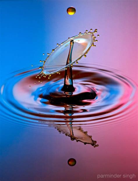 500px Photo Water Drop By Parminder Singh Nature Design High