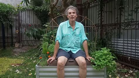 Can u reuse coffee grounds. Can you compost coffee grounds? - YouTube