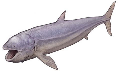An animated size comparison of many animals from the tardigrade to the blue whale and beyond! Leedsichthys Size / Steam Workshop :: Rideable ...