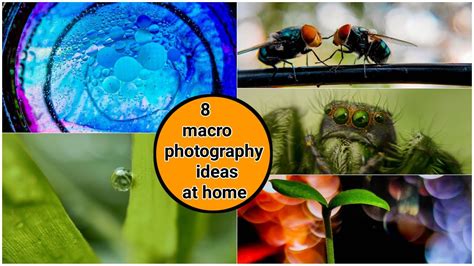 8 Mobile Macrophotography Ideas At Home Creative Macro