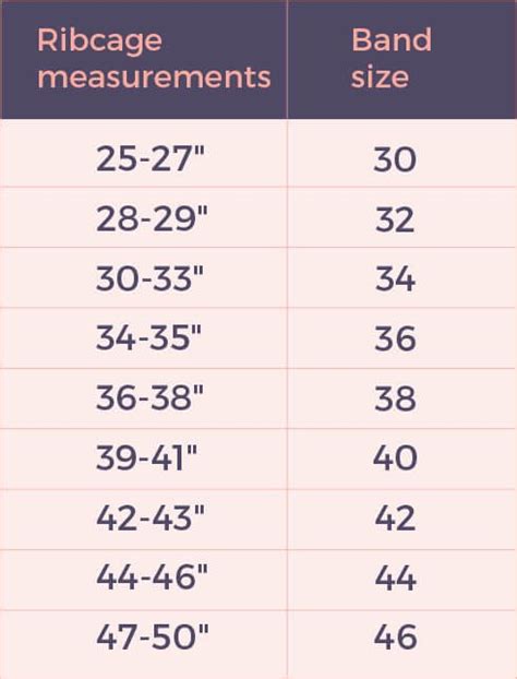 Bra Cup Size Chart Inches