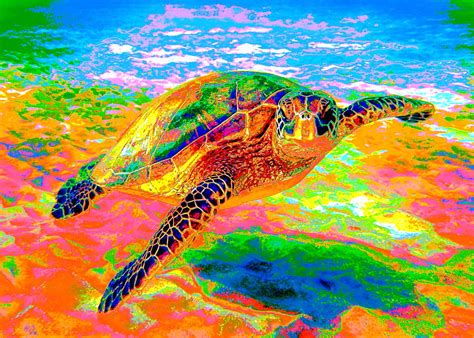 Rainbow Sea Turtle Digital Art By Larry Beat Pixels