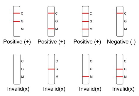 Covid 19 Antibody Rapid Test Kit Coronavirus Igg Igm Rapid Test
