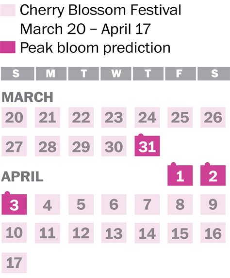 Here Are The Predicted Peak Bloom Dates For This Years Cherry Blossoms