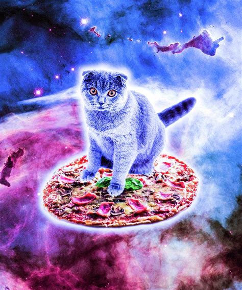 Galaxy Kitty Cat Riding Pizza In Space Digital Art By Random Galaxy