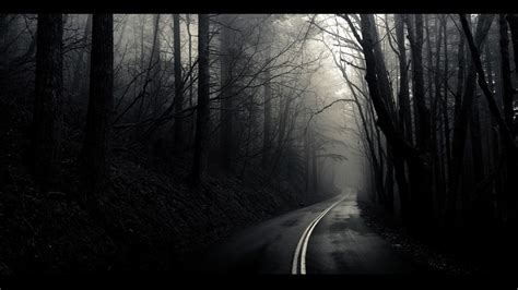 You can install this wallpaper on. Black and white landscapes trees fog mist The Mist roads ...