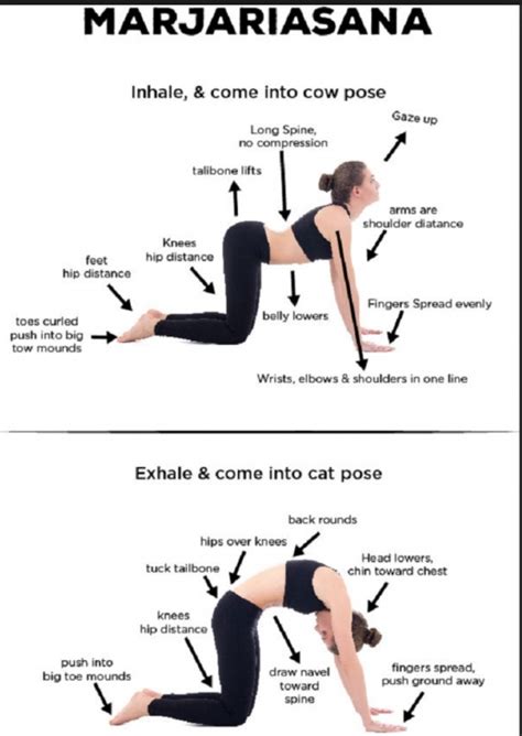 Benefits Of Cat Cow Pose