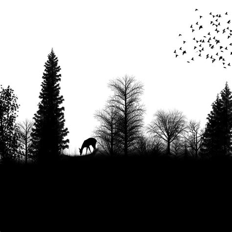 Free Illustration Silhouette Landscape Birds Trees