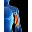 Upper Arm Pain Causes Symptoms Injuries  Physio Pretoria