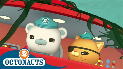 Octonauts Octopod Is Trapped Cartoons For Kids Underwater Sea