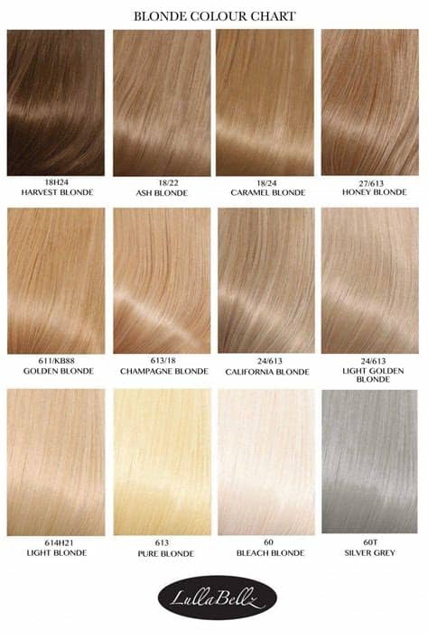 This one fades from dark gray hues to platinum ash blonde. Blonde Colour Chart - LullaBellz
