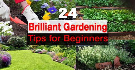 We all have to start somewhere…consider this your coffee 101 for beginners. 24 Gardening Tips for Beginners | Balcony Garden Web