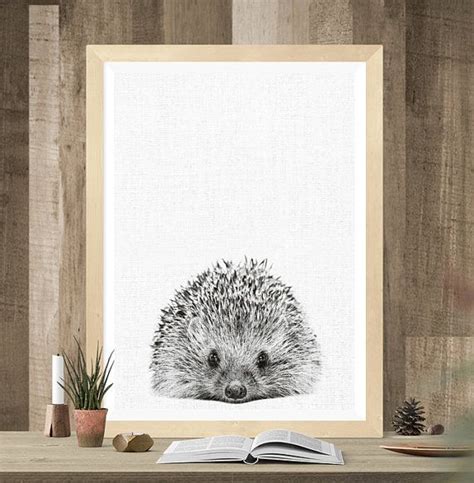 Hedgehog Print Hedgehog Photo Hedgehog Wall Art Animal Etsy New