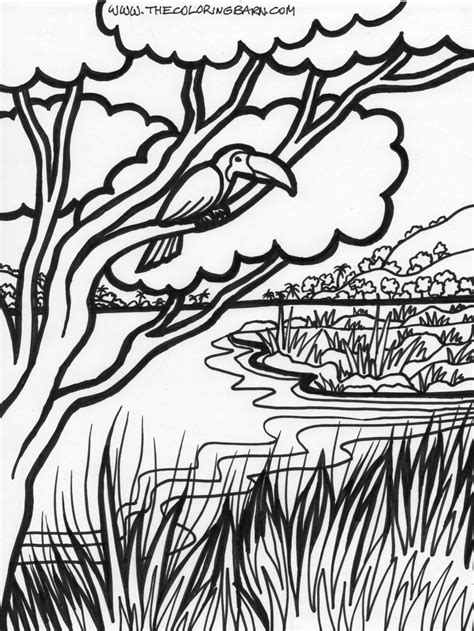 Forest Coloring Pages To Download And Print For Free Peru Wall
