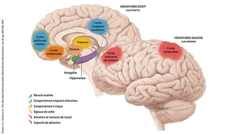 Un inquiétant manque de sommeil Pour la Science