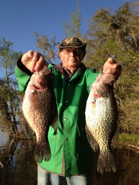 Lake Talquin Crappie Round 3 Pensacola Fishing Forum