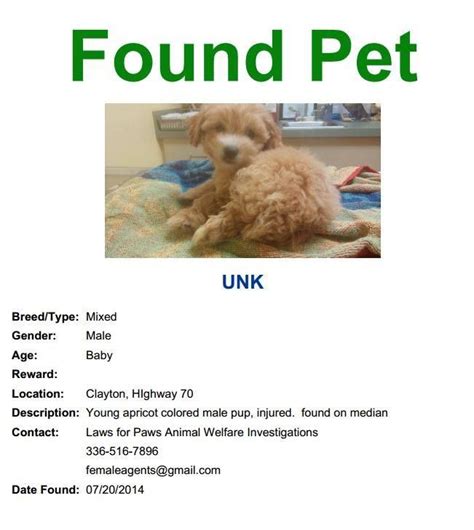 Lost And Found Pets Of Raleighdurhamchapel Hill Nc Losing A Pet