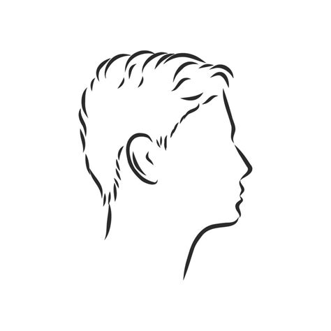 Human Profile Vector Sketch 7311813 Vector Art At Vecteezy