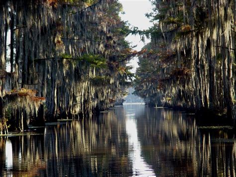 10 Water Vacation Spots in Texas (2020)