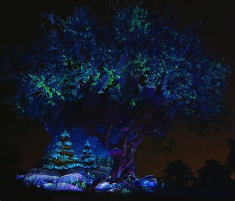 Video Look At The New Winter Edition Of The Tree Of Life Awakenings