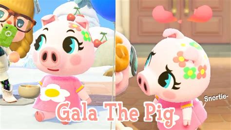Gala The Pig Normal Villager Animal Crossing New Horizons Acnh Youtube