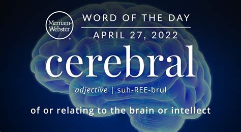 Merriam Webster Word Of The Day Cerebral — Michael Cavacinimichael