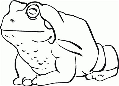 Frog And Toad Coloring Page Printable