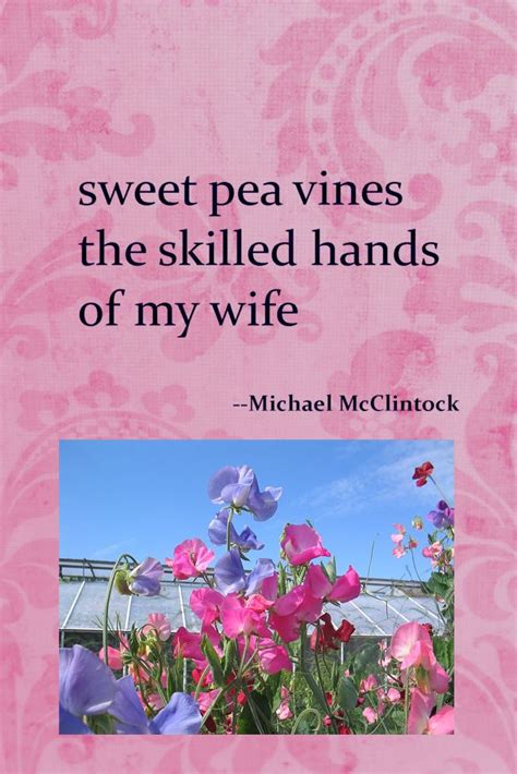 Also known as hokku, a haiku is a form of japanese poetry almost similar to tanka only that it is made up of fewer lines. Haiku poem: sweet pea vines-- by Michael McClintock ...