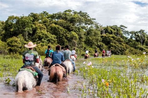 El Exuberante Paraíso De Brasil Donde Se Grabó Pantanal La Novela Que Reemplaza A Gran Hermano