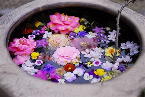 Enjoy The Kiss Flower Bath