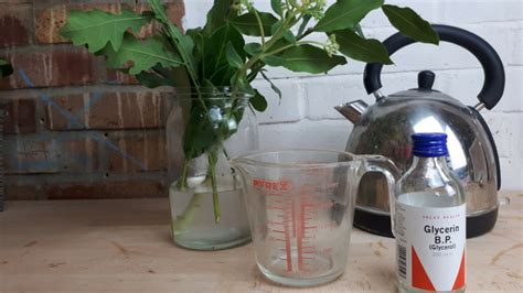 There are many ways such as pressing leaves and drying it out, but i prefer this method as the leaf retains it's flexibility giving it a more natural appearance. How to preserve your greenery with glycerine - Julie ...