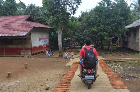 Kayu manis digunakan untuk mengobati usus yang sensitif. Kayu Manis Air Terjun Haratai - Meratus Geopark