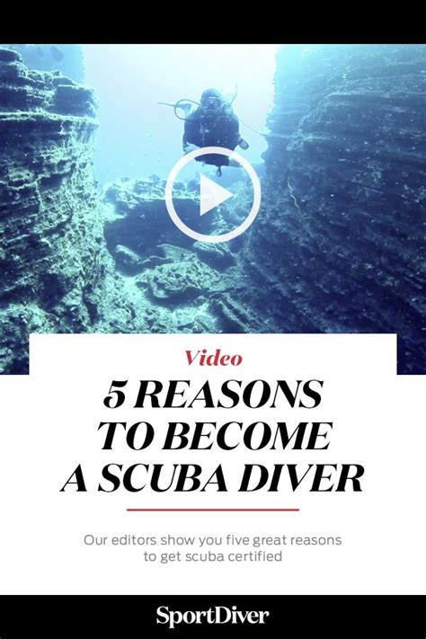 You will get to explore a peaceful underwater world filled with colorful marine life and breathtaking landscapes. 5 Reasons To Become a Scuba Diver — It is time to get ...