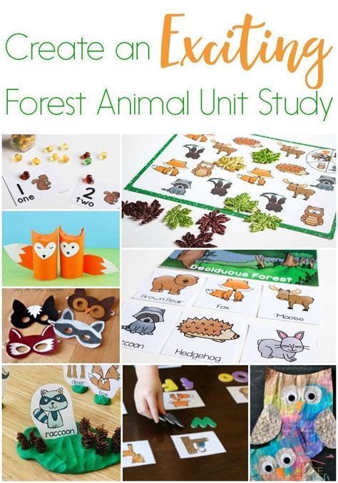 Create An Exciting Forest Animal Unit Study In 2020 Forest Animals
