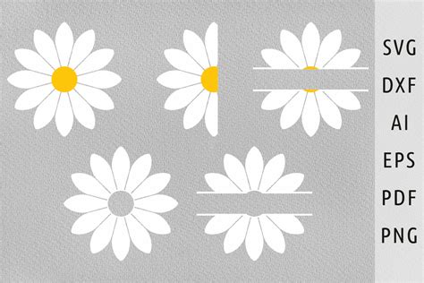 Daisy Flower Svg Half Daisy Svg For Cut Illustration Par Julia S