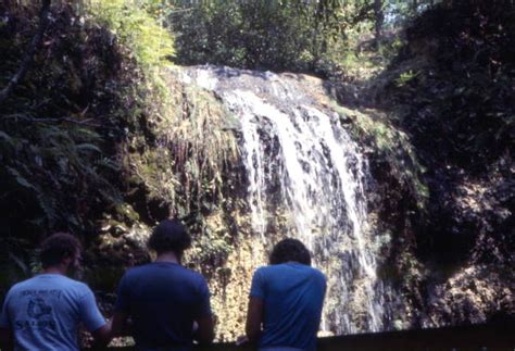 Florida Memory Visitors Enjoying The Waterfall At Falling Waters