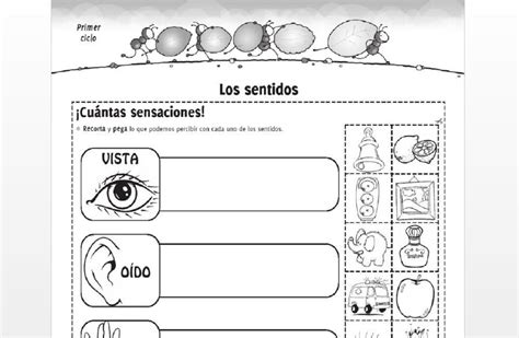 Material Educativo De Los Cinco Sentidos Para Imprimir