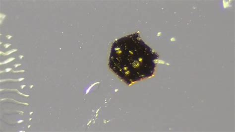 155 Morgellons New Found 6 Cornered Goldencrystalmicro Chip