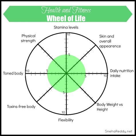 Wheel Of Life Tool Resjade
