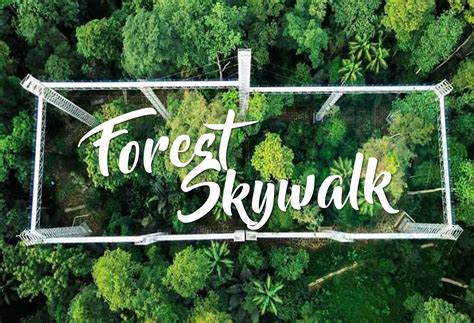 Akta lembaga promosi kesihatan malaysia 2006. Tarikan terbaru di FRIM Kepong ! Forest Skywalk bakal ...