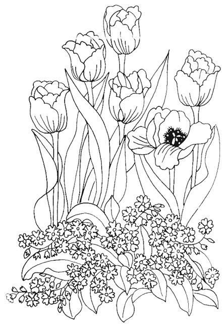 Flori Zambitoare De Colorat Plansa De Colorat Cu Floare Zambitoare