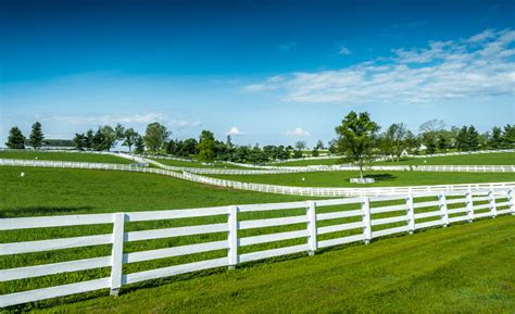 The Best Fencing Options For Your Kentucky Horse Farm