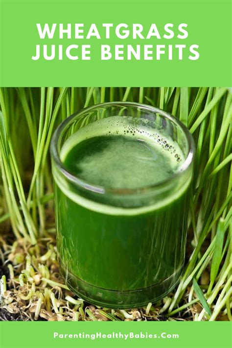 Benefits Of Wheatgrass Juice For Skin Health Benefits