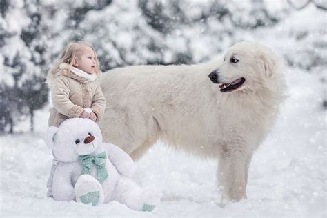 Little Kids And Their Big Dog Photos