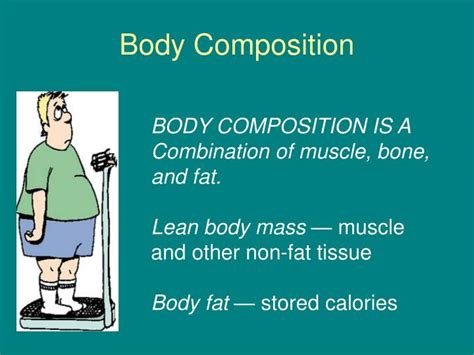 Ppt Body Composition Powerpoint Presentation Free Download Id3790236
