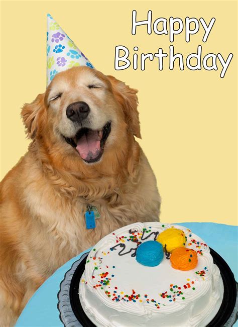 Free Things For Your Dogs Birthday The Cake Boutique