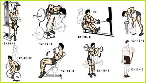 Maybe you would like to learn more about one of these? Best 7-Move Back and Biceps Workout Combination - My ...