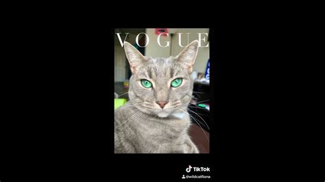 Cat On The Cover Of Vogue Youtube