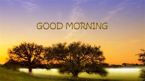 Best Good Morning Hd Wallpapers Download Good Morning Desktop